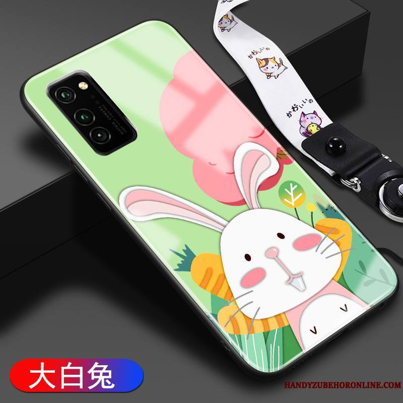 Honor 30 Pro Tout Compris Coque Protection Dessin Animé Verre Incassable Étui