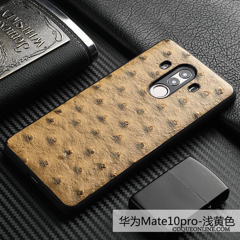 Huawei Mate 10 Pro Coque De Téléphone Oiseau Qualité Tout Compris Incassable Business Téléphone Portable