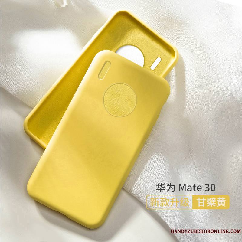 Huawei Mate 30 Étui Tout Compris Membrane Fluide Doux Coque De Téléphone Gris Bleu