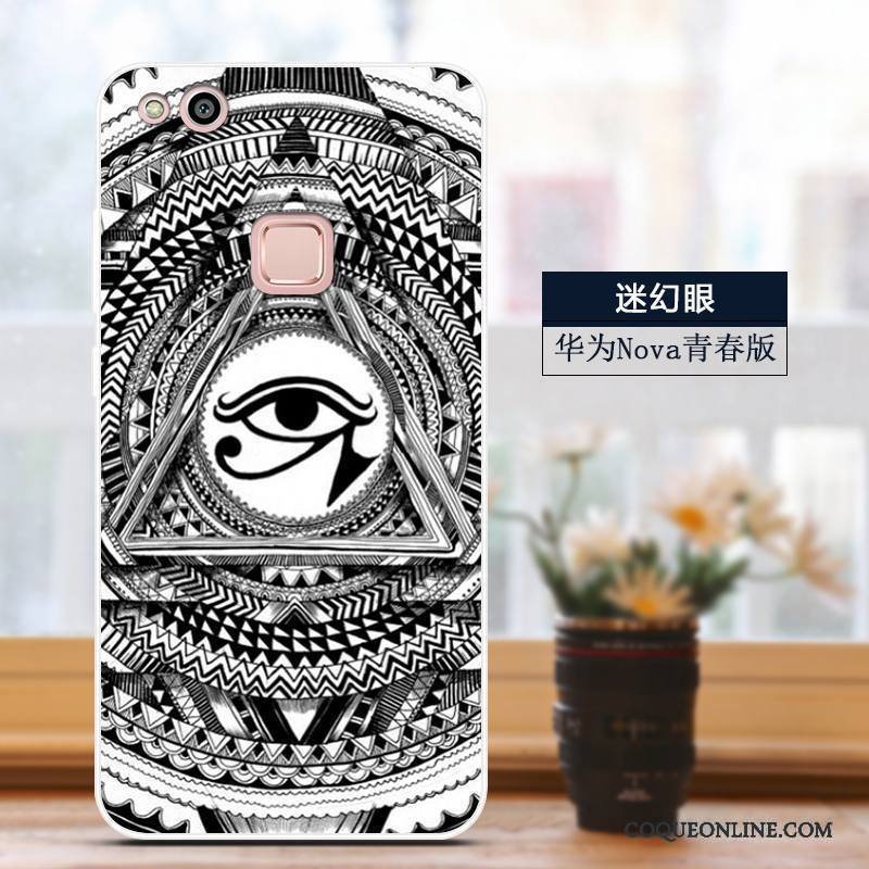 Huawei Nova Coque De Téléphone Dessin Animé Incassable Mince Protection Étui Jeunesse