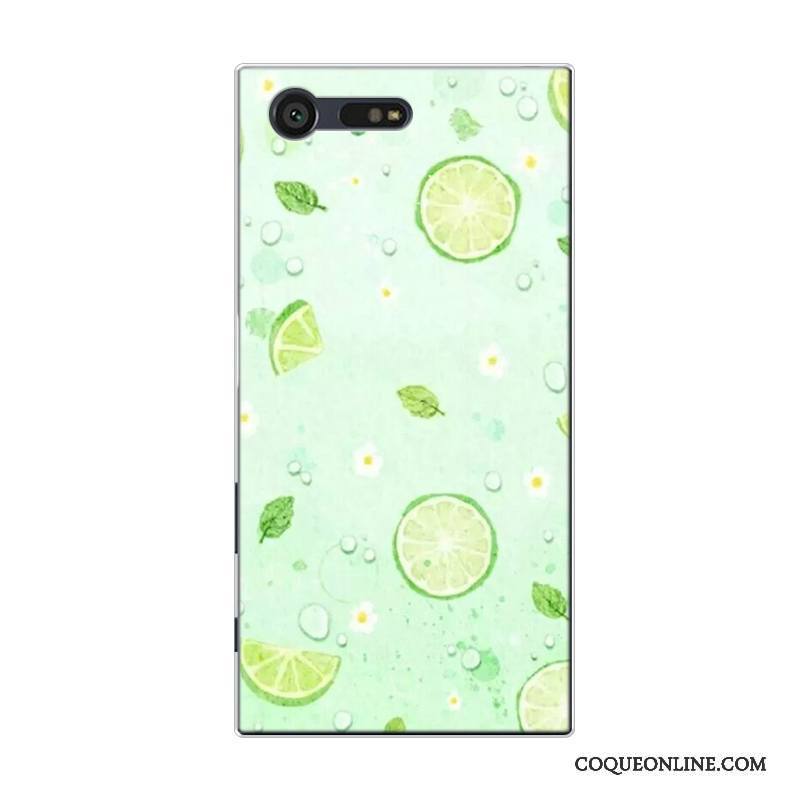 Sony Xperia X Compact Coque De Téléphone Frais Silicone Citron Petit Tout Compris Pastèque