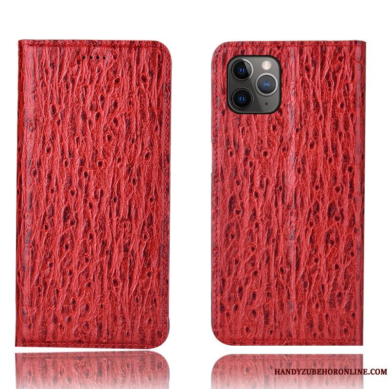 iPhone 11 Pro Cuir Véritable Tout Compris Coque De Téléphone Protection Oiseau Étui Modèle Fleurie