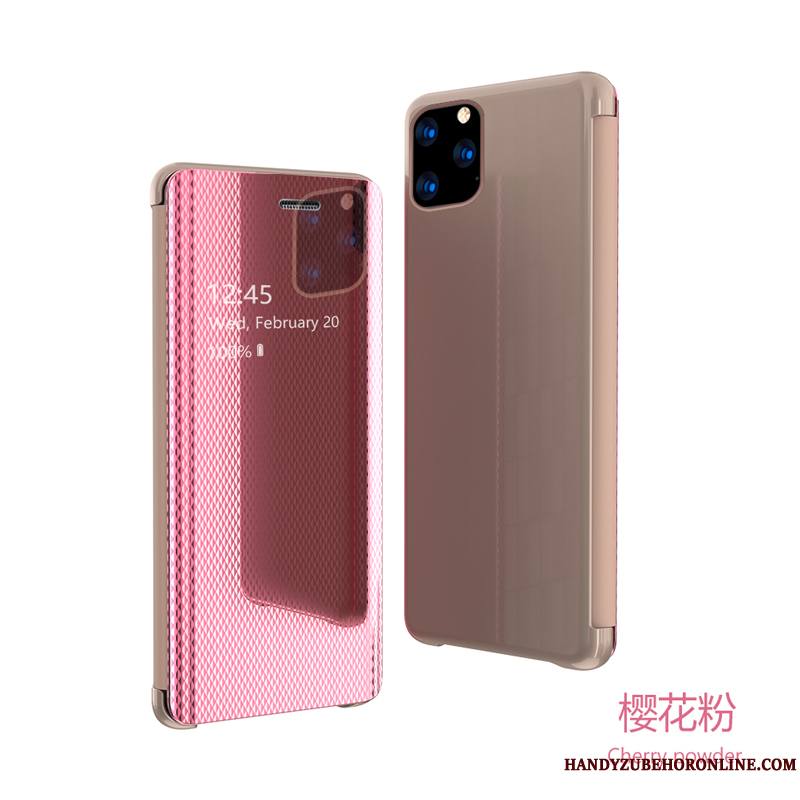 iPhone 11 Pro Max Étui En Cuir Housse Argent Modèle Fleurie Coque De Téléphone Transparent Miroir