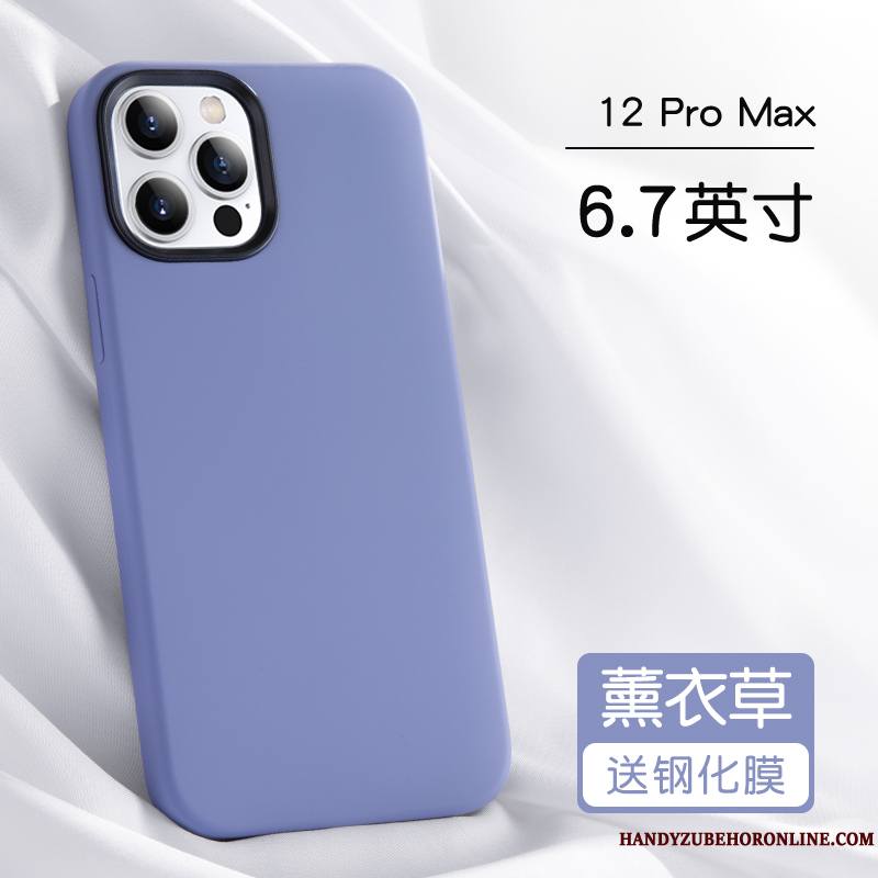 iPhone 12 Pro Max Coque De Téléphone Silicone Bleu Marque De Tendance Étui Personnalité Nouveau