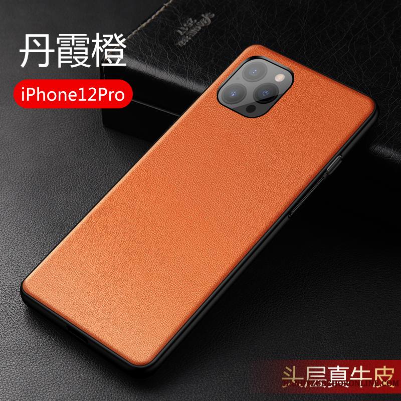 iPhone 12 Pro Très Mince Coque Cuir Haut Cuir Véritable Incassable Protection Nouveau