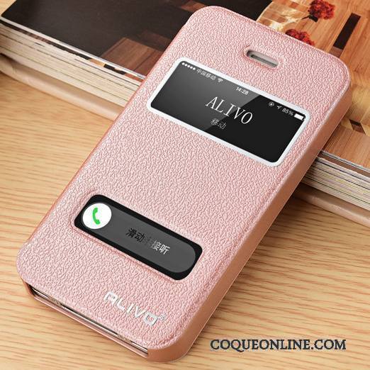 iPhone 5/5s Or Étui En Cuir Coque Clamshell Incassable De Téléphone Protection