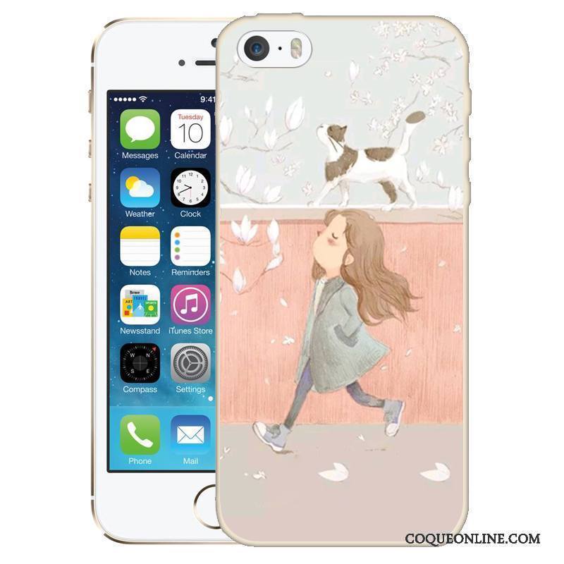 iPhone 5/5s Rose Silicone Peinture Protection Coque De Téléphone Gaufrage