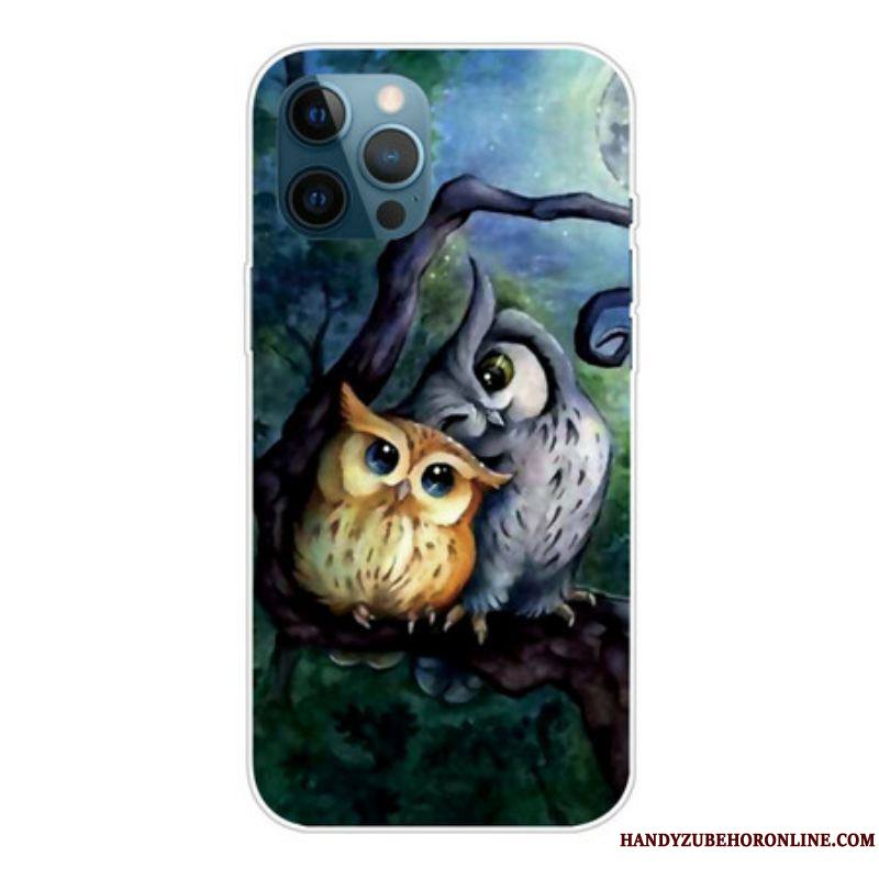 Coque iPhone 13 Pro Max Peinture Hiboux