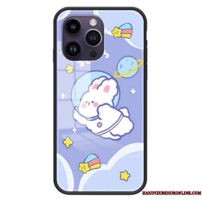 Coque iPhone 15 Pro Max Verre Trempé Aerospace Rabbit