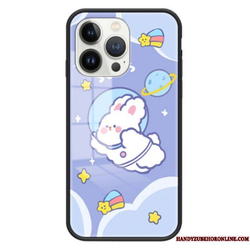 Coque iPhone 15 Pro Verre Trempé Aerospace Rabbit