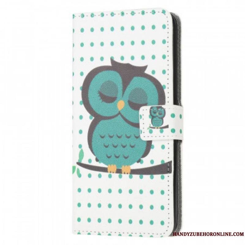 Housse Samsung Galaxy M53 5G Hibou Endormi