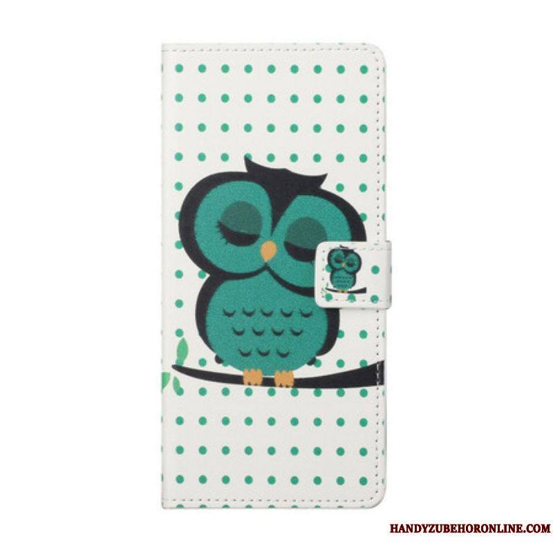 Housse Samsung Galaxy S21 5G Hibou Endormi