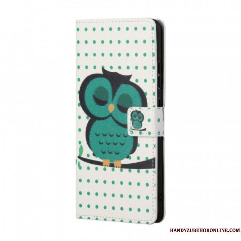 Housse Samsung Galaxy S22 Plus 5G Hibou Endormi