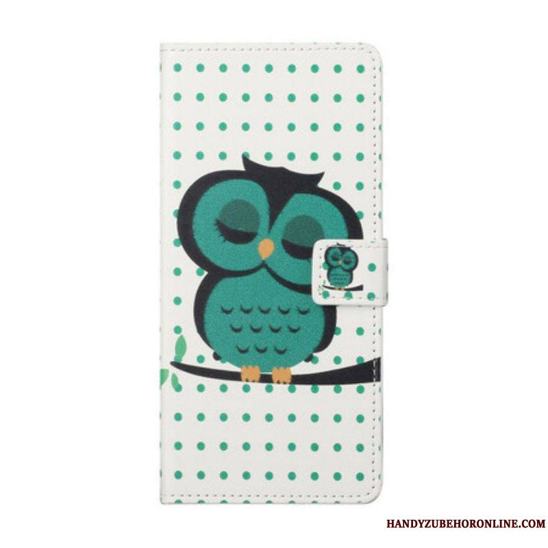 Housse iPhone 13 Pro Hibou Endormi