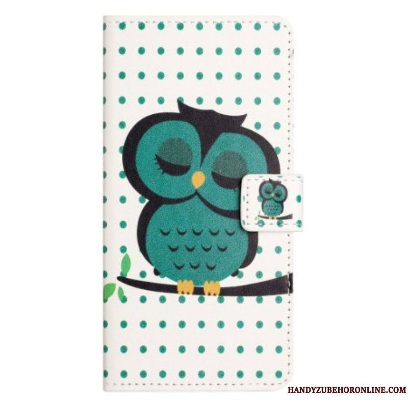 Housse iPhone 14 Pro Hibou Endormi