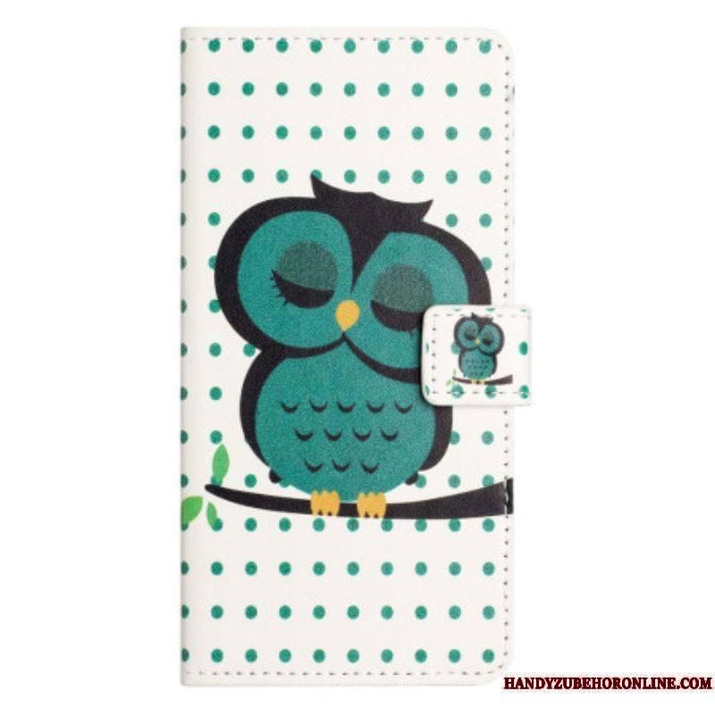 Housse iPhone 15 Hibou Endormi