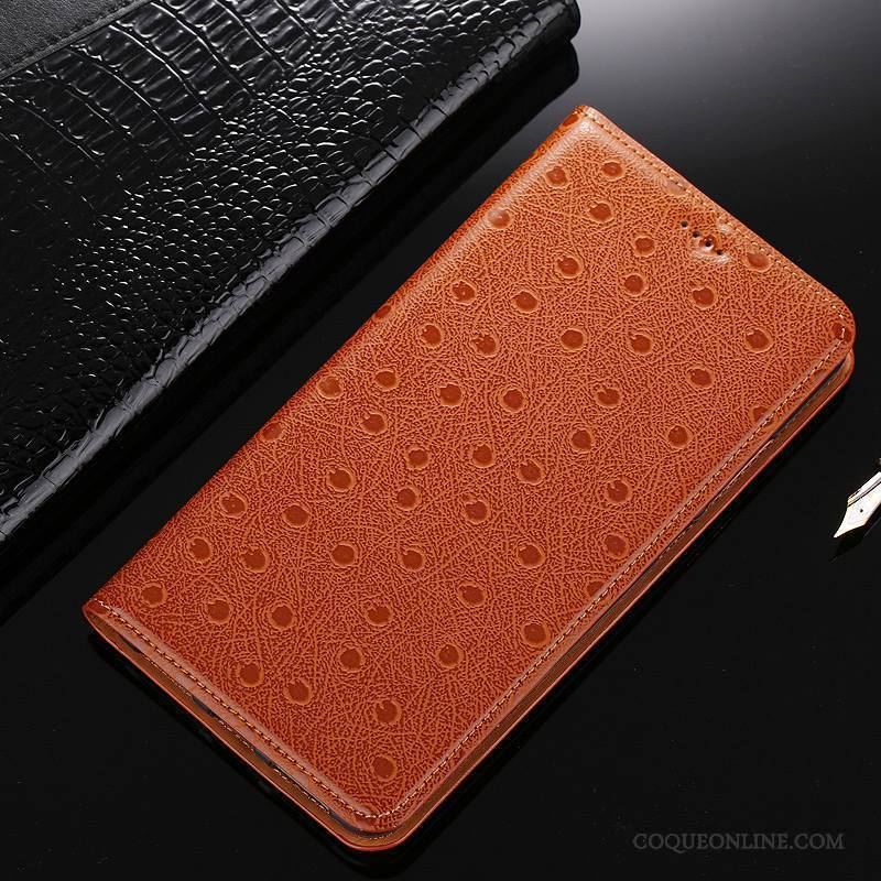 Huawei Y6 Pro 2017 Étui Étui En Cuir Cuir Véritable Protection Coque De Téléphone Housse Oiseau